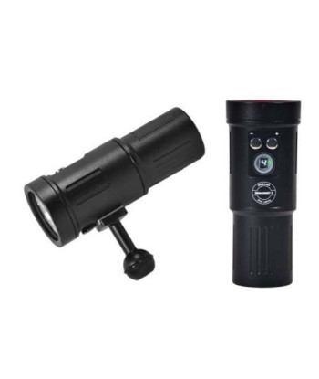 Videolampe Dragonet 2